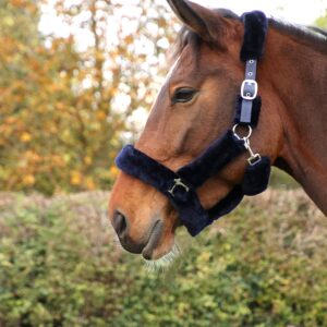 Hy Equestrian Fab Fleece Head Collar
