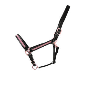 Hy Equestrian Rosciano Rose Gold Head Collar
