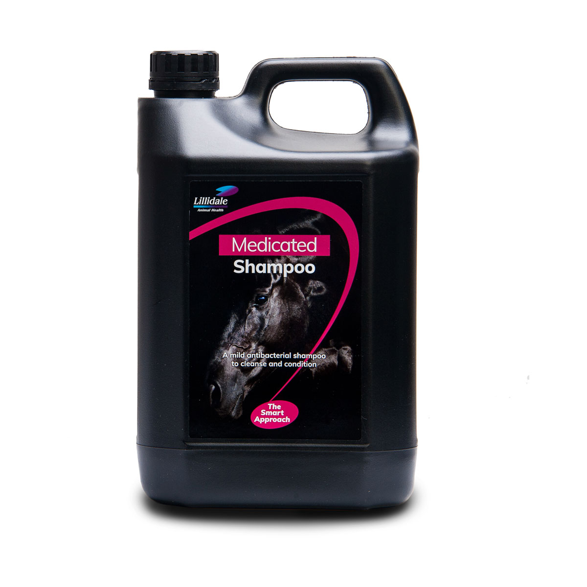 Lillidale Medicated Shampoo - Image 2