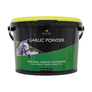 Lincoln Garlic Powder - 2KG