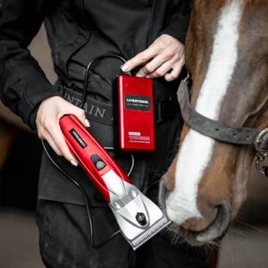 Liveryman Lithium-Ion Battery Pack -4 Hour
