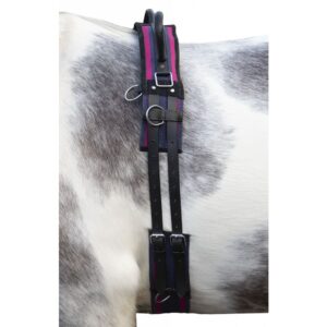 HKM Lunge Roller -Canvas- with Handle