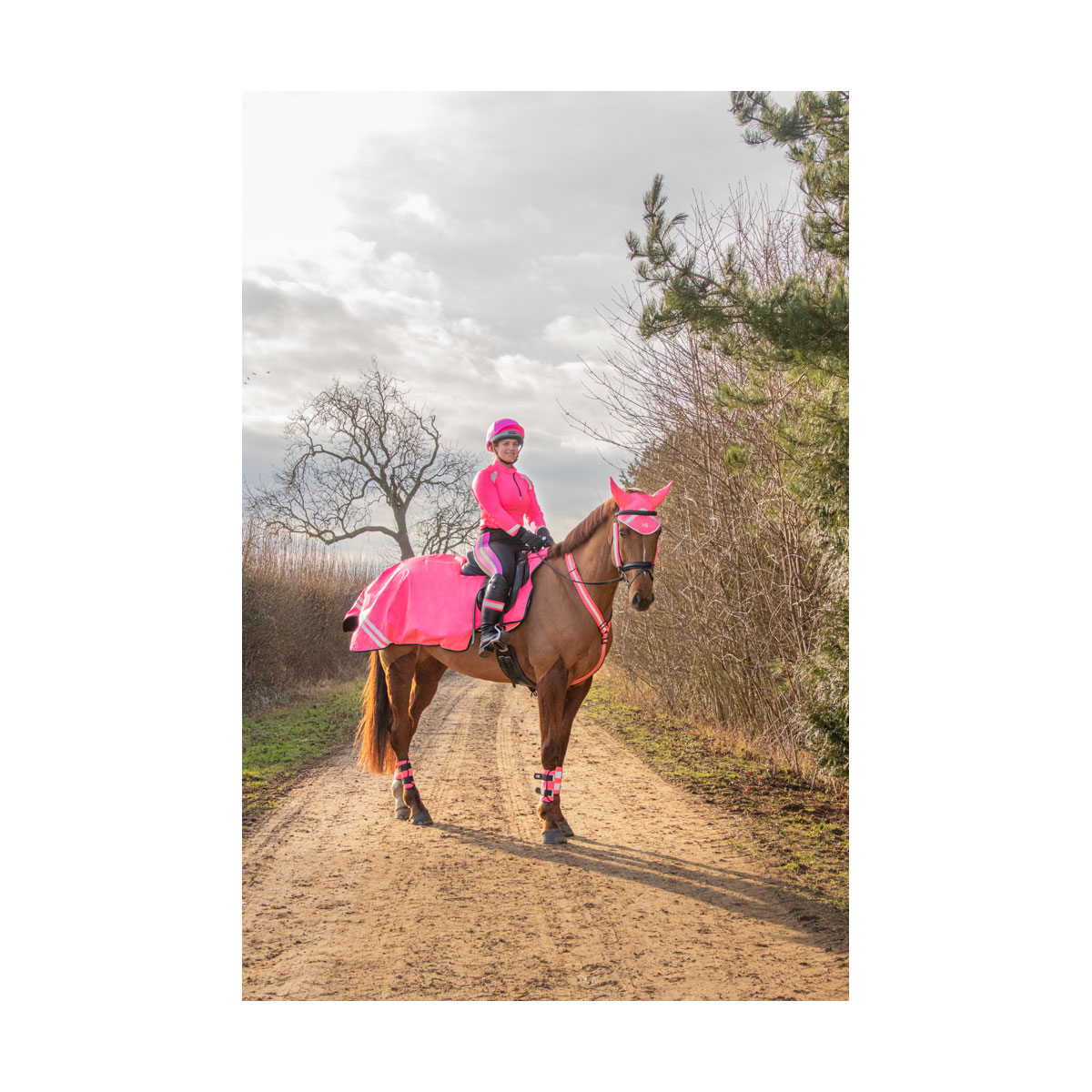 Reflector Base Layer by Hy Equestrian - Image 9