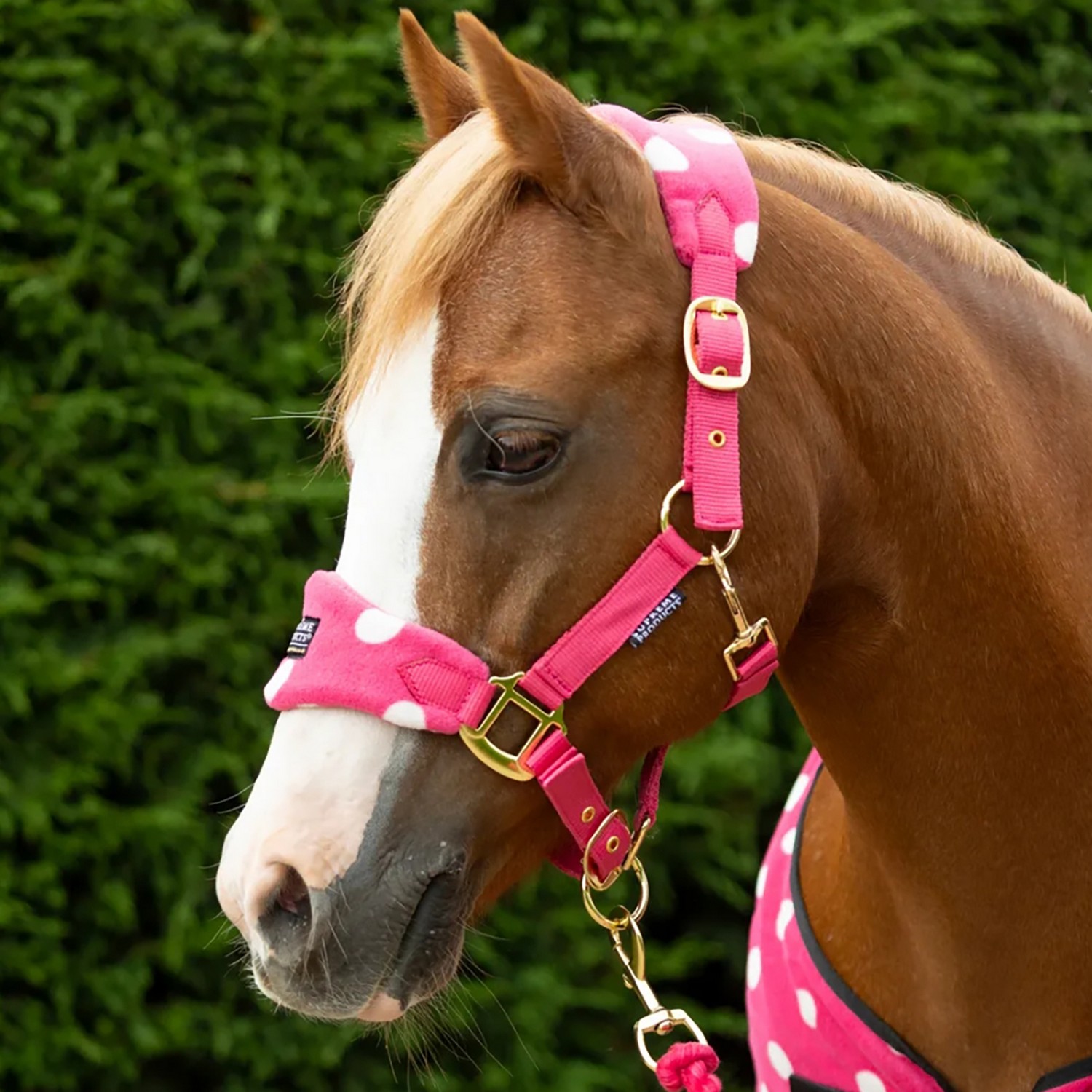 Dotty Fleece Head Collar & Lead Rope by Supreme Products - Image 5