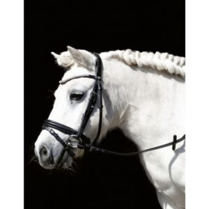 HKM Bridle -Shetty Diamond-