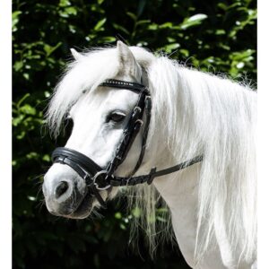 HKM Bridle -Mini Shetty-