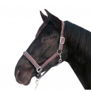 HKM Head Collar & Lead Rope Snap Hook -Stars-180cm