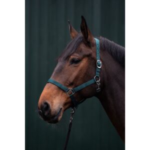 HKM Head Collar -Brisbane-