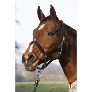 HKM Leather Head Collar -Economic-