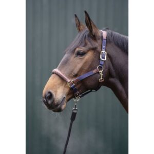 HKM Head Collar Leather & Nylon -Luna