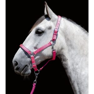 HKM Head Collar -Stars Softice- with Soft Padding