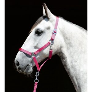 HKM Head Collar -Stars Economy Softice