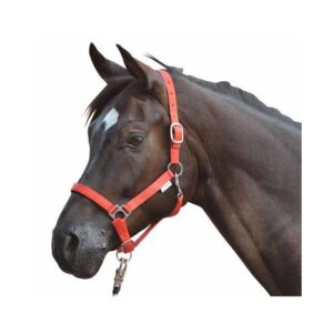 HKM Head Collar -Stars- with Soft Padding