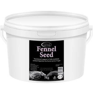Omega Fennel Seeds