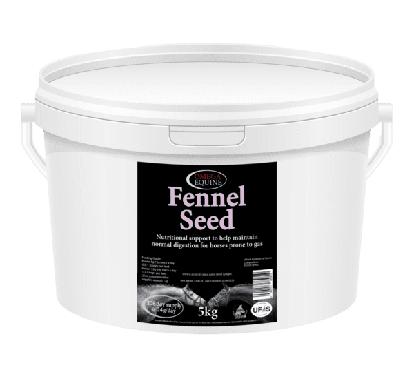 Omega Fennel Seeds