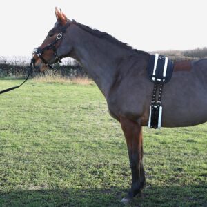 Hy Equestrian Lunge Roller