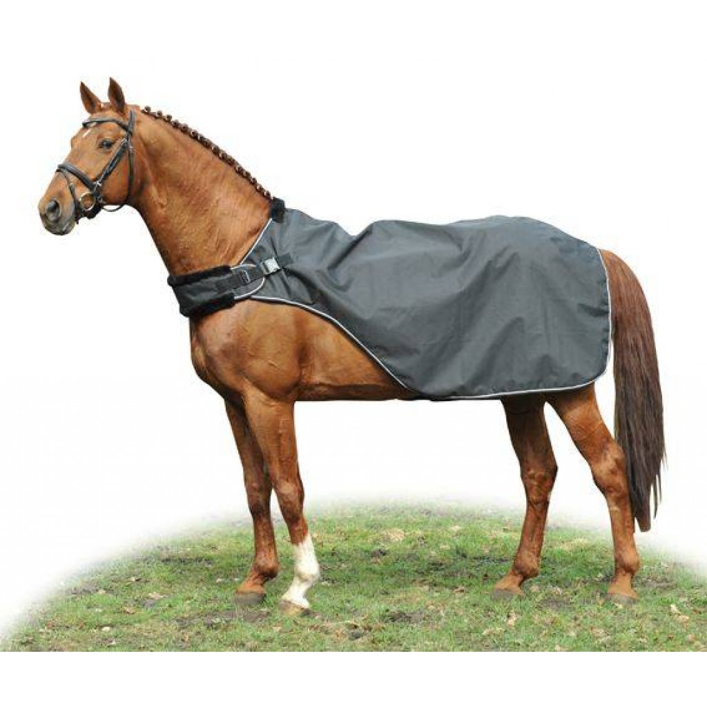 HKM Horse Walker Rug -Carvis