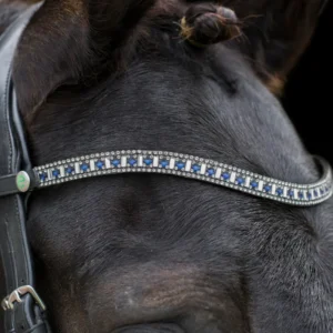 EcoRider Freedom Sapphire Browband -The Perfect Fit