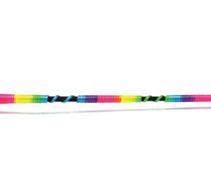 HySCHOOL Multicoloured Riding Whip 66cm