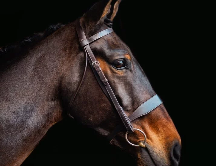Cameo Core Collection Hunt Bridle