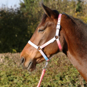 Hy Equestrian Ombre Head Collar and Lead Rope