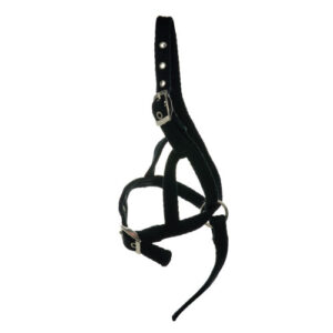 Hy Equestrian Foal Slip Halter