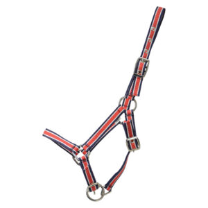 Hy Equestrian Foal Plus Head Collar