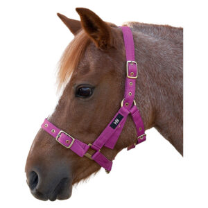 Hy Equestrian Holly Fully Adjustable Head Collar