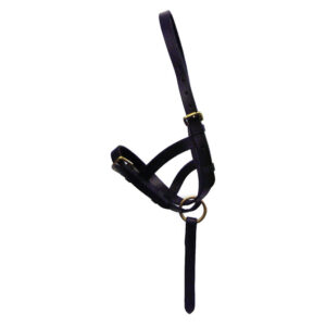 Hy Equestrian Leather Foal Slip