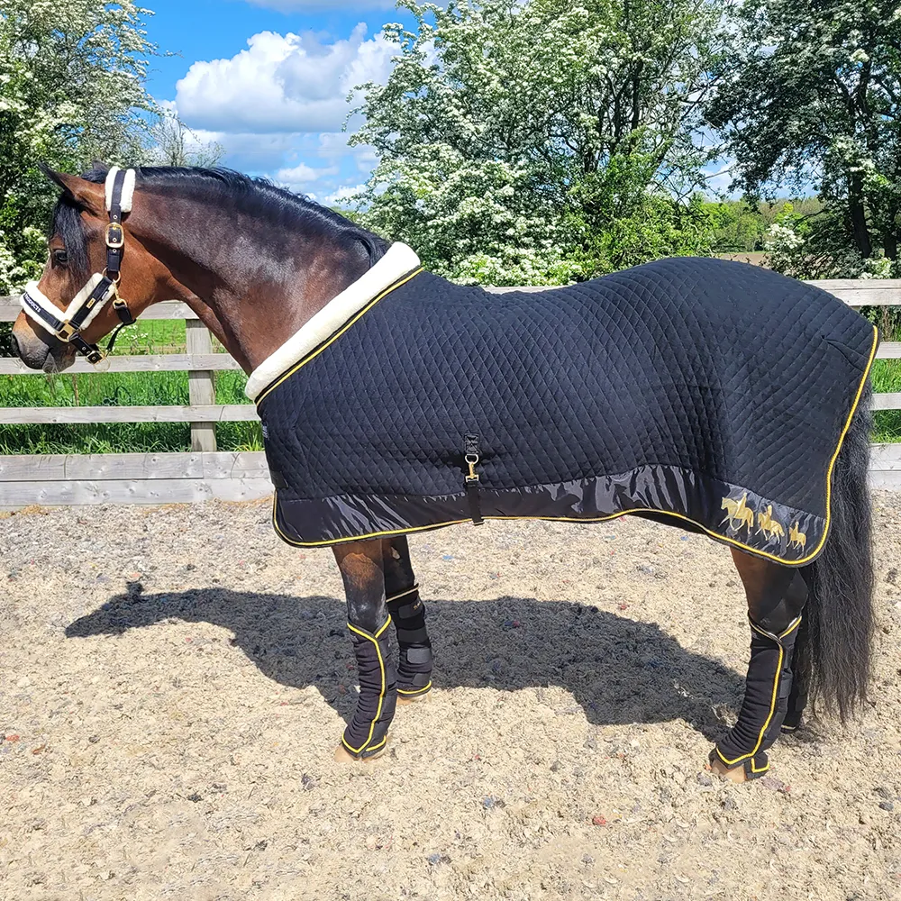 Supreme Products Royal Occasion Rug - Image 2