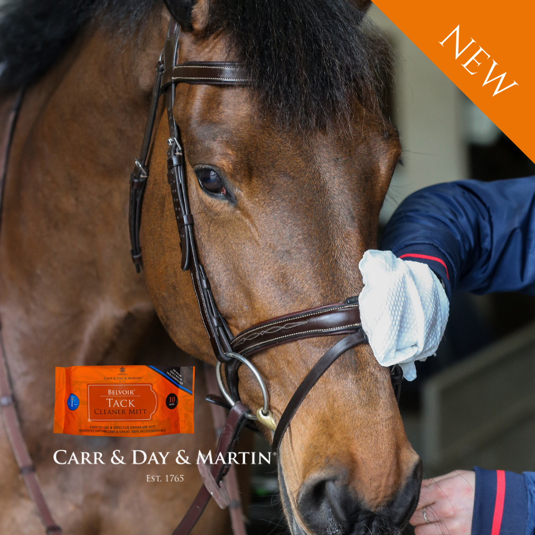 Carr & Day & Martin Belvoir Tack Cleaning Mitt - Pack 10 - Image 2