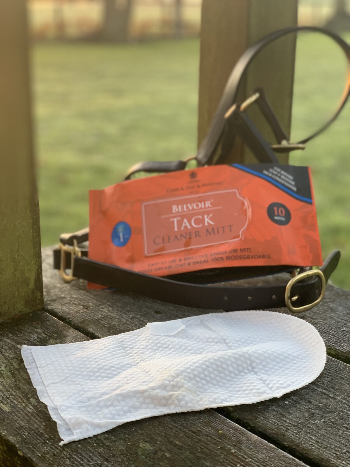 Carr & Day & Martin Belvoir Tack Cleaning Mitt - Pack 10