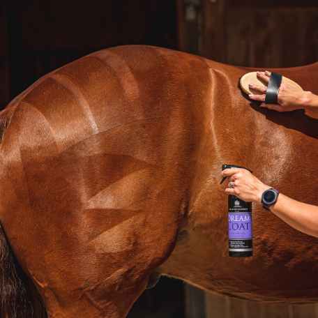 Grooming Products