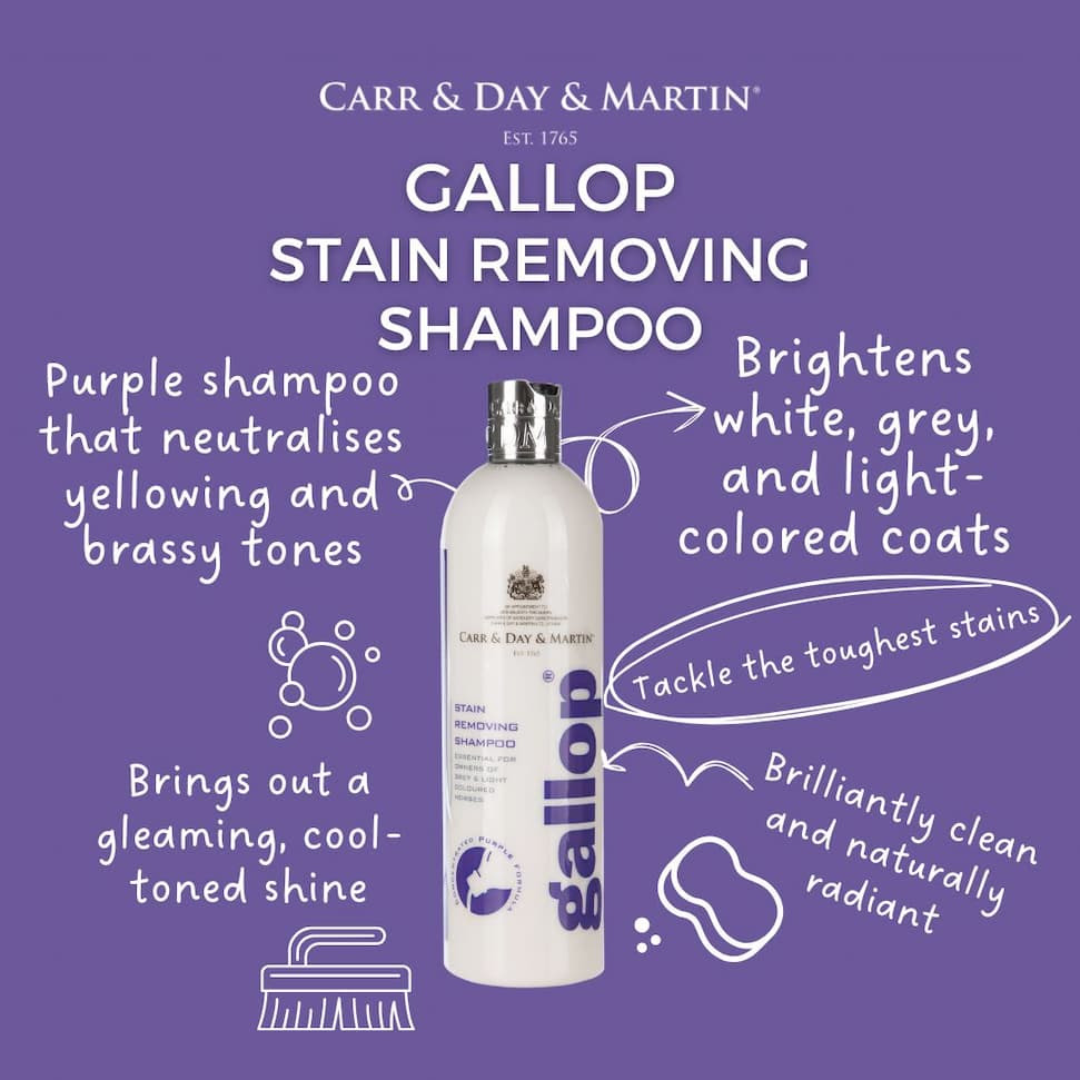 CDM Gallop Stain Removing Shampoo 500ml - Image 2