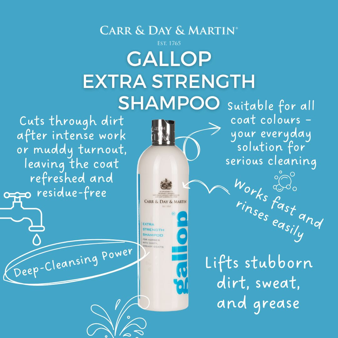 CDM Gallop Extra Strength Shampoo 500ml - Image 2