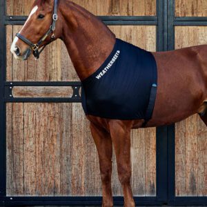 Weatherbeeta Stretch Shoulder Guard