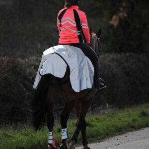 Weatherbeeta Reflective Wrap Around Exercise Sheet
