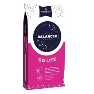 Dodson & Horrell Go Lite Balancer 15kg Click & Collect