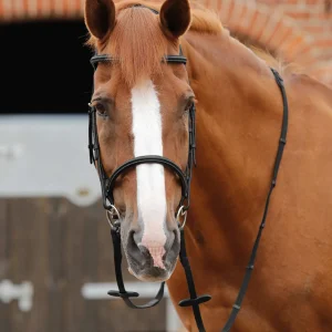 Premier Equine Altare Web Reins
