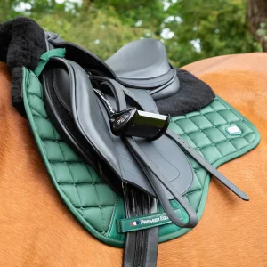 Premier Equine Atlantis CC Satin Wool GP/Jump Square -Full