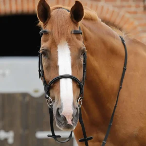 Premier Equine Domenico Web & Rubber Grip Reins