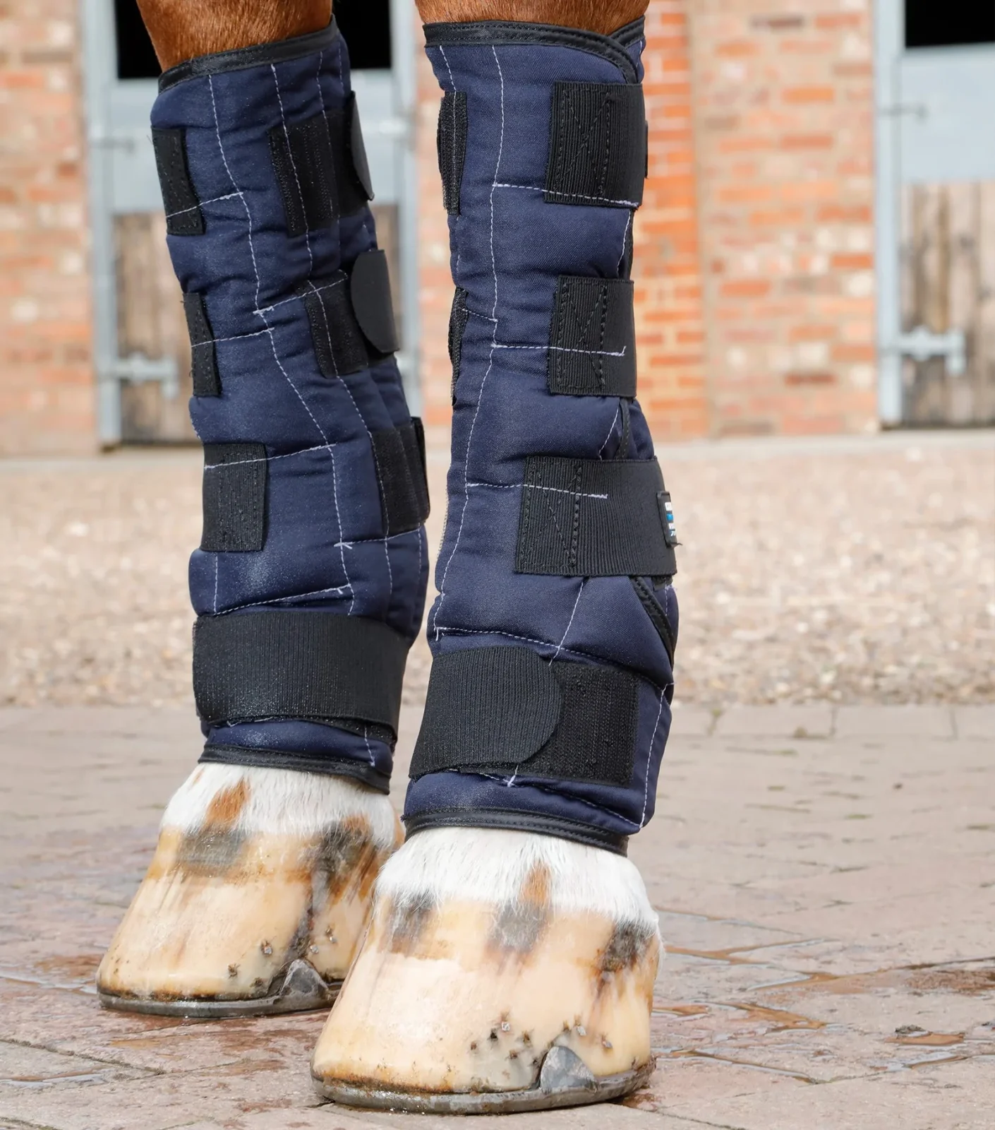 Premier Equine Cold Water Boots - Image 2