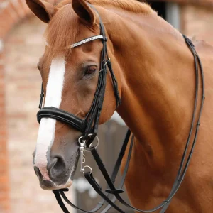 Premier Equine Leonardo Plain Leather Double Bridle Reins