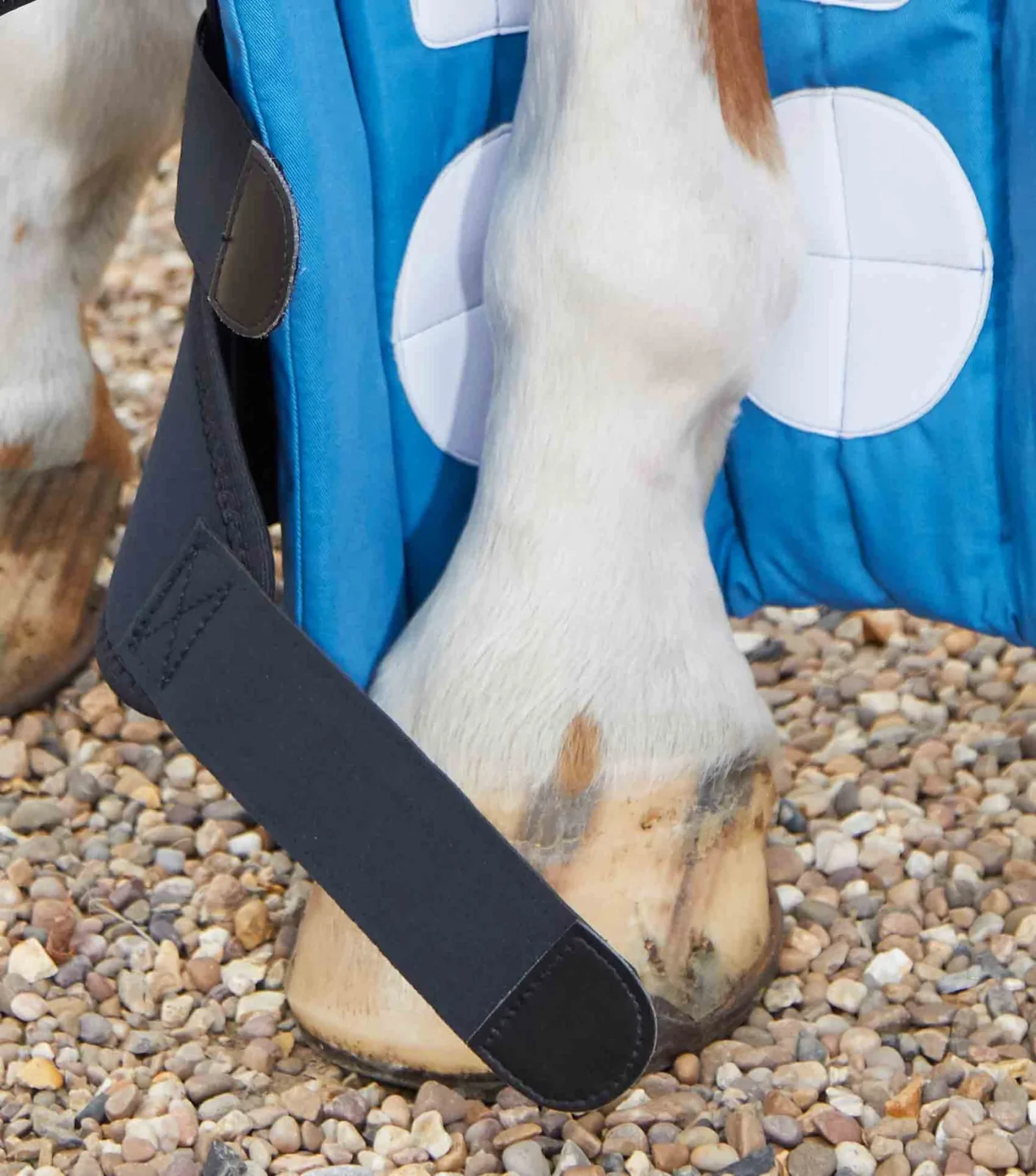 Premier Equine Magni-Teque Boot Wraps - Image 4