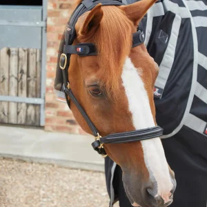 Premier Equine Magni-Teque Magnetic Brow Band