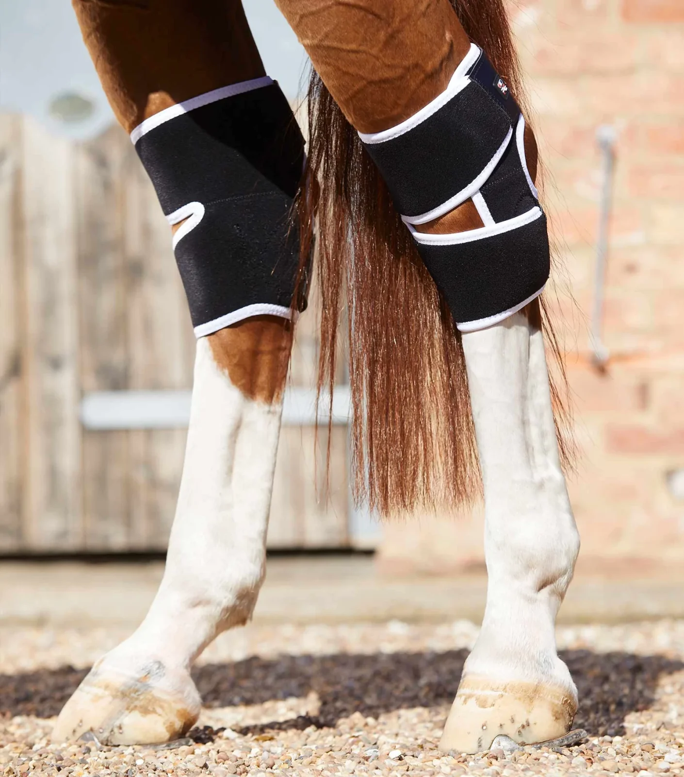 Premier Equine Magni-Teque Magnetic Hock Boots - Image 2
