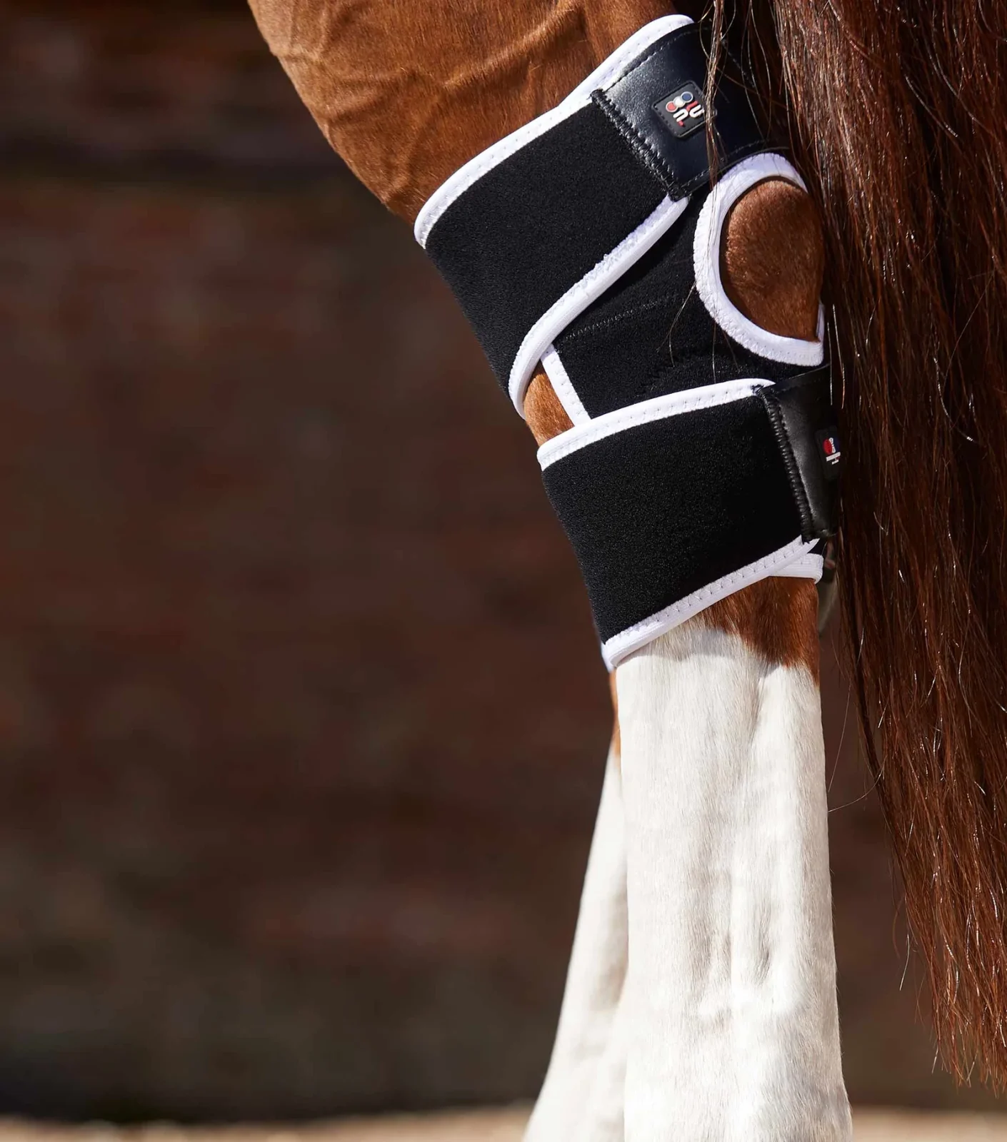 Premier Equine Magni-Teque Magnetic Hock Boots - Image 5