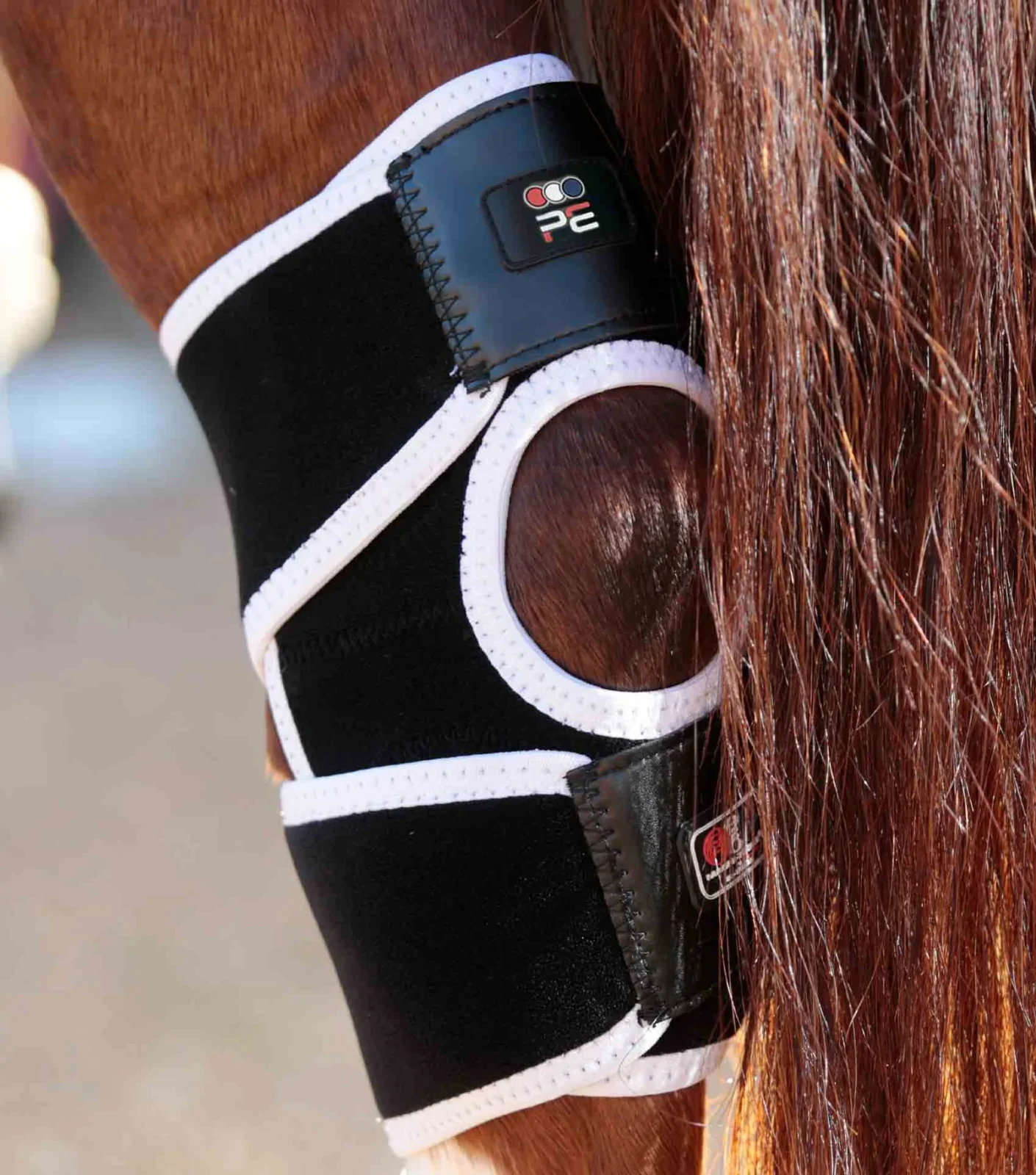 Premier Equine Magni-Teque Magnetic Hock Boots - Image 6