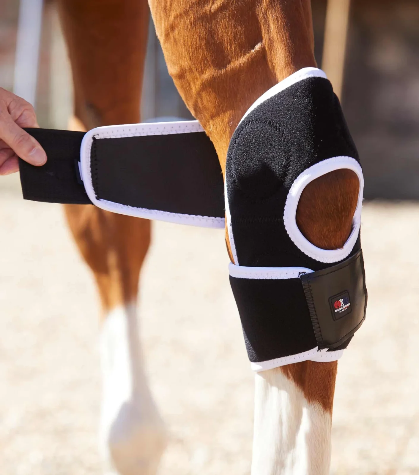 Premier Equine Magni-Teque Magnetic Hock Boots - Image 4