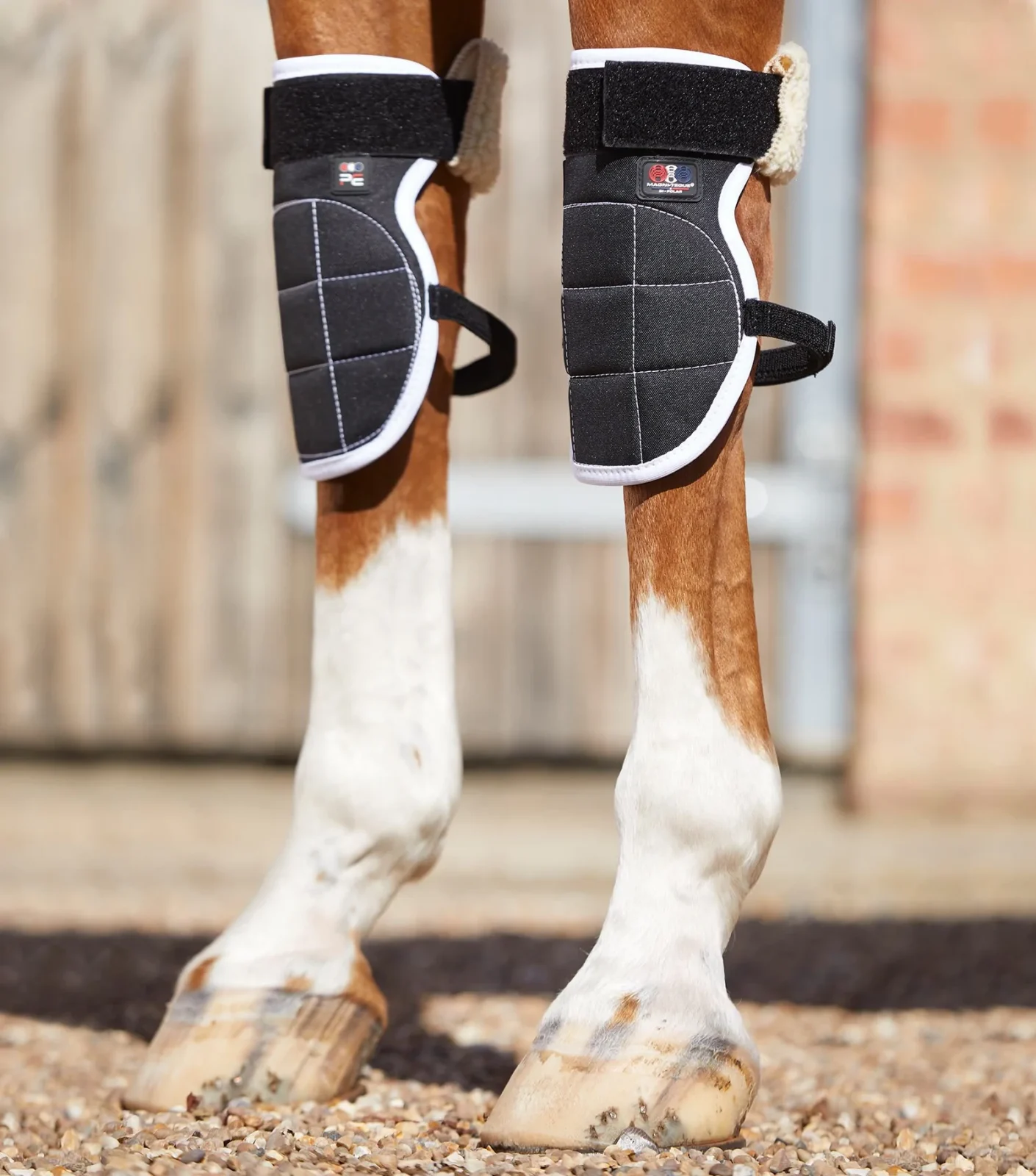 Premier Equine Magni-Teque Magnetic Knee Boots - Image 2